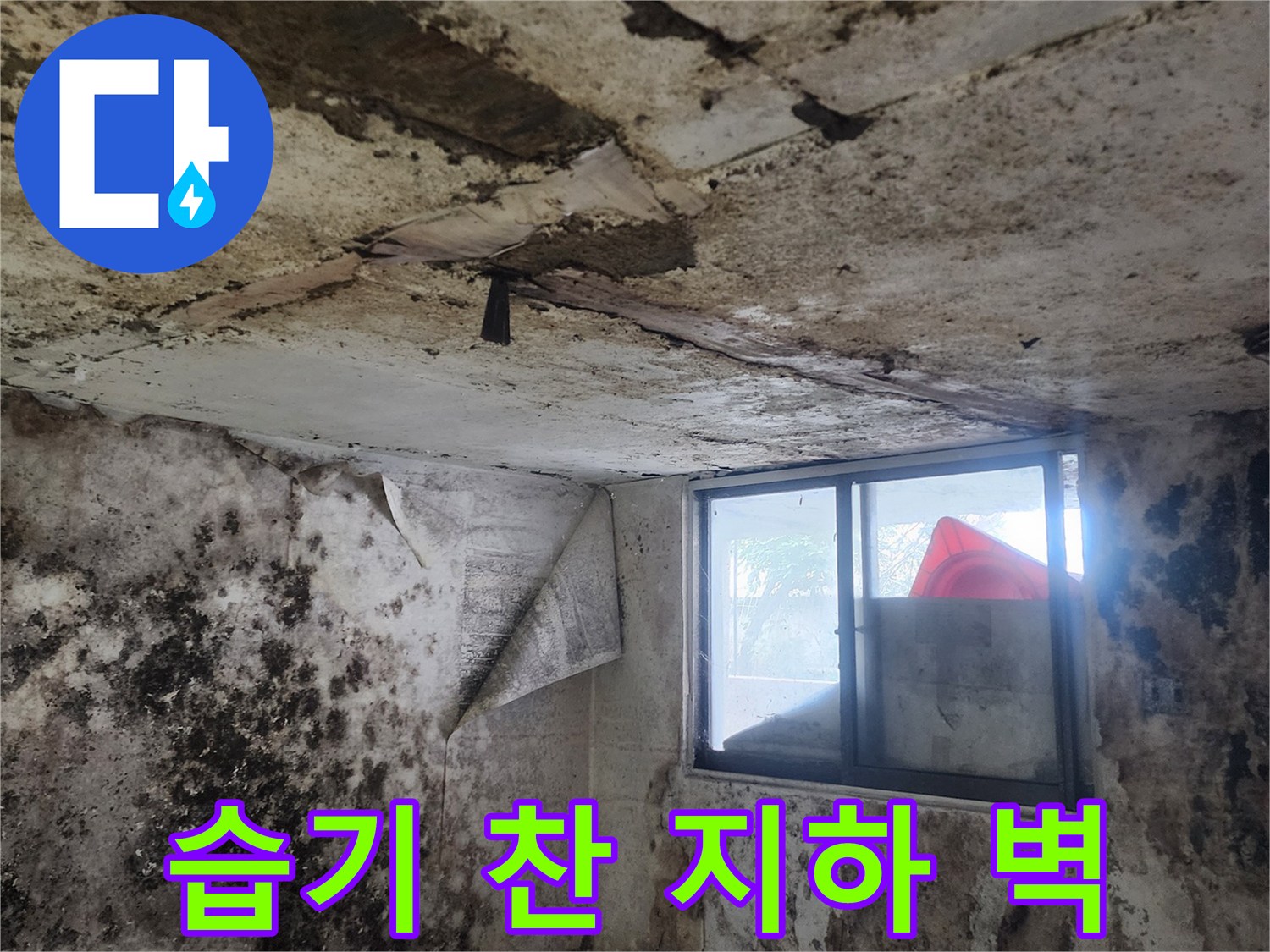 서초구 염곡동 현장-곰팡이와 습기로 오염된 지하실 내부 벽면