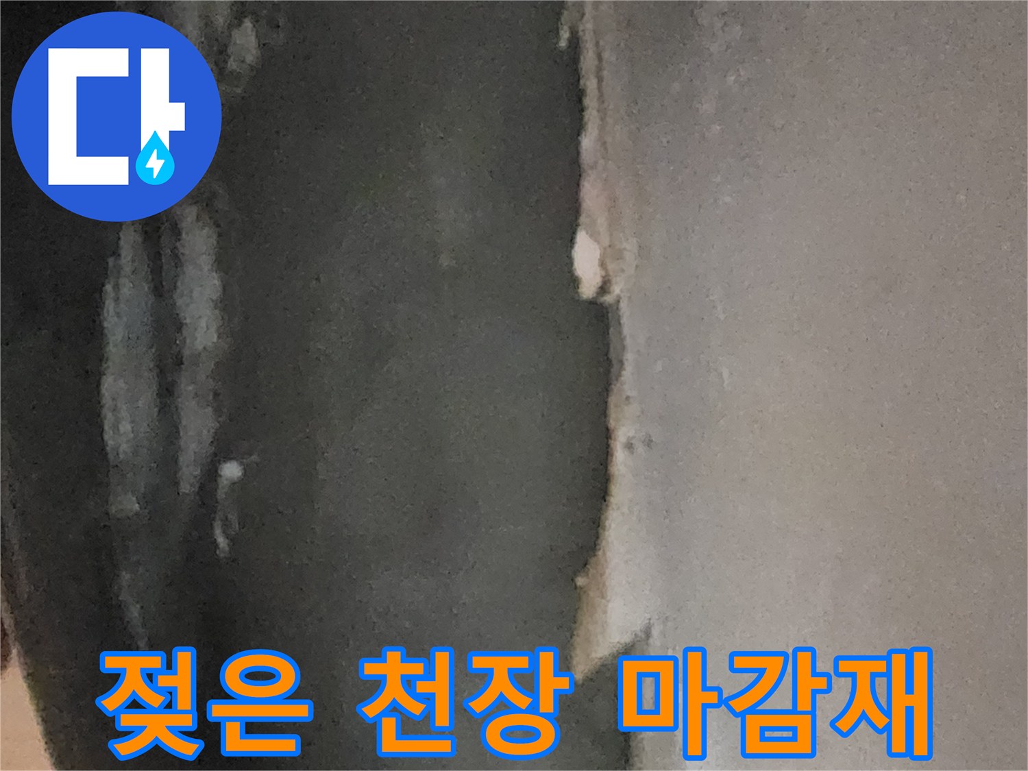습기로 인해 들뜨고 변색된 지하실 천장의 모습