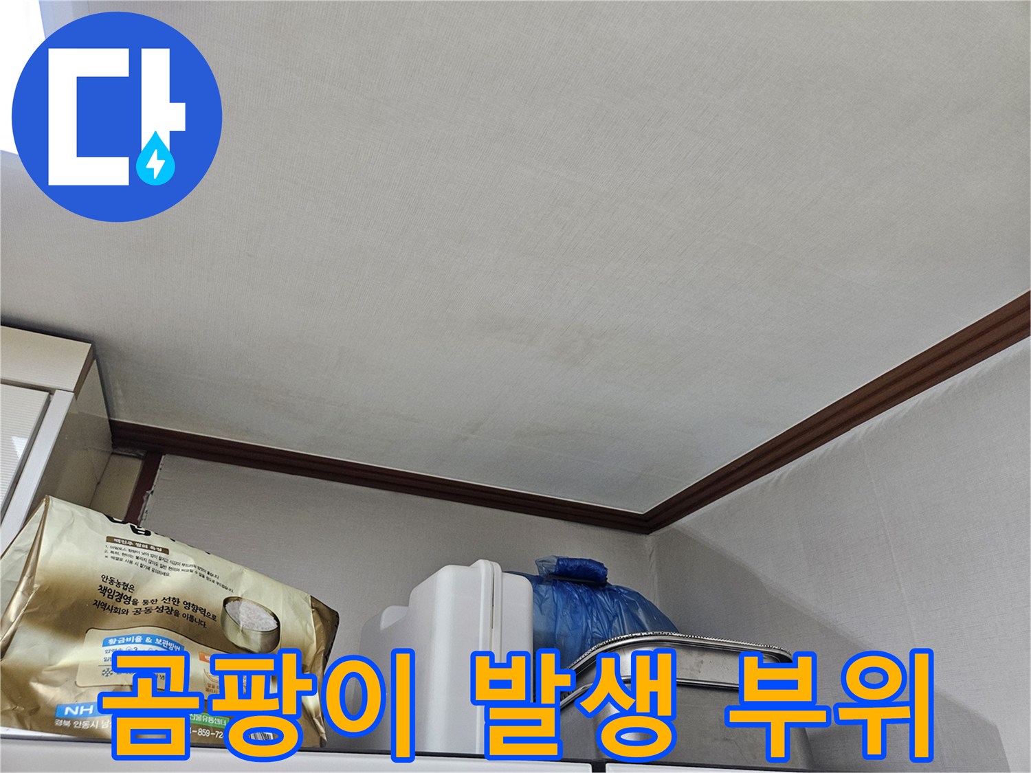 습기로 인해 곰팡이가 번진 벽면 하단 영역