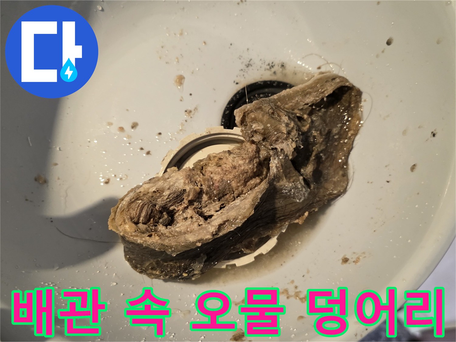 배관-내부에서-끌어올린-머리카락-뭉치와-찌꺼기