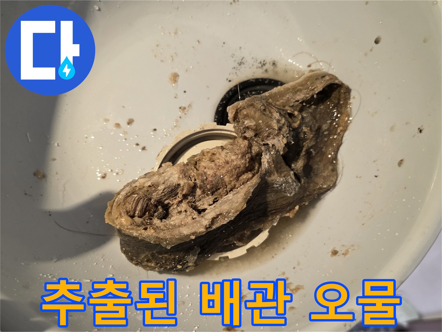 배수관 내부에서 꺼낸-머리카락과 오물이 뭉친 이물질
