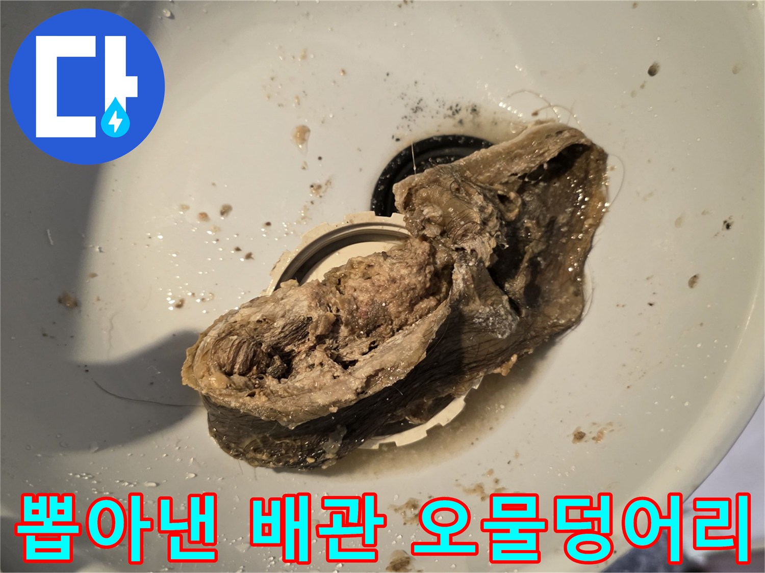 배수구-내부에서-추출된-머리카락-이물질-뭉치
