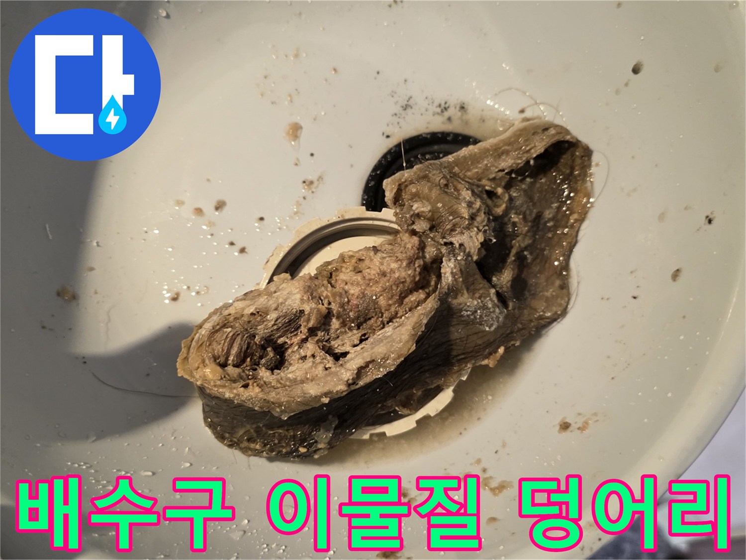 욕실-배수관에서-추출된-커다란-이물질-뭉치