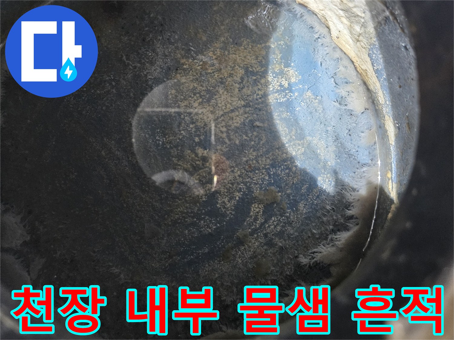다용도실-천장-내부-누수-흔적-및-오염-상태