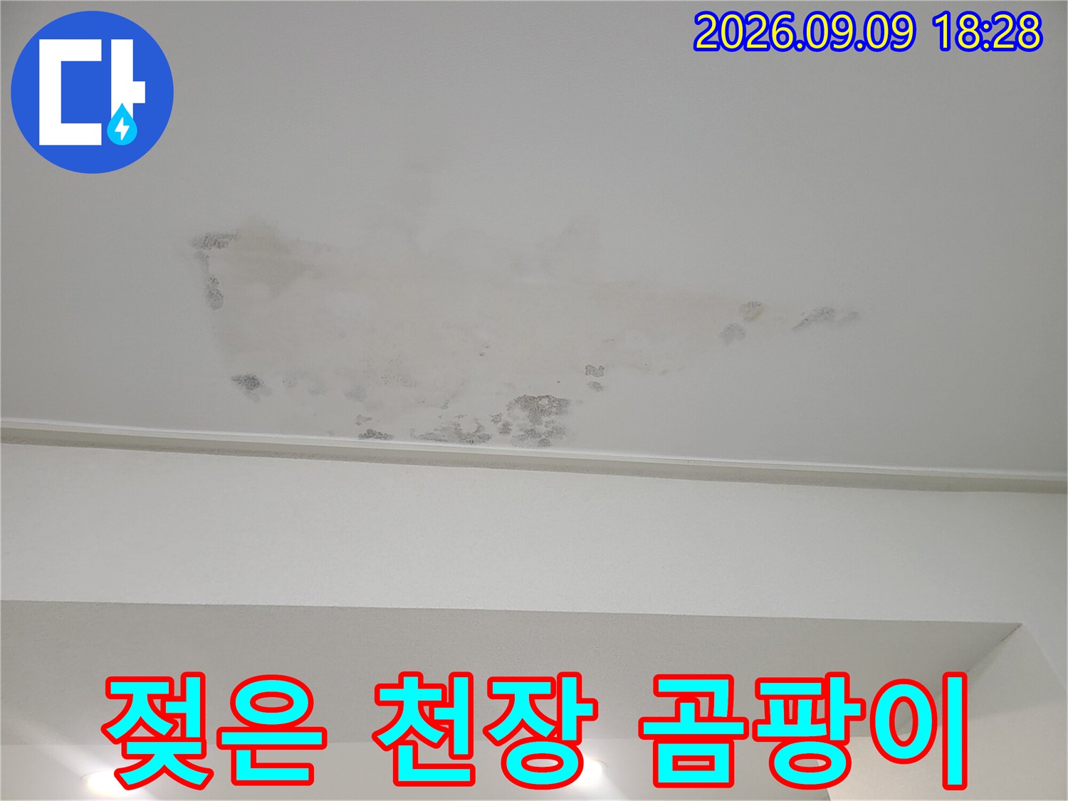 누수로 인해 변색되고 곰팡이가 생긴 천장 마감재