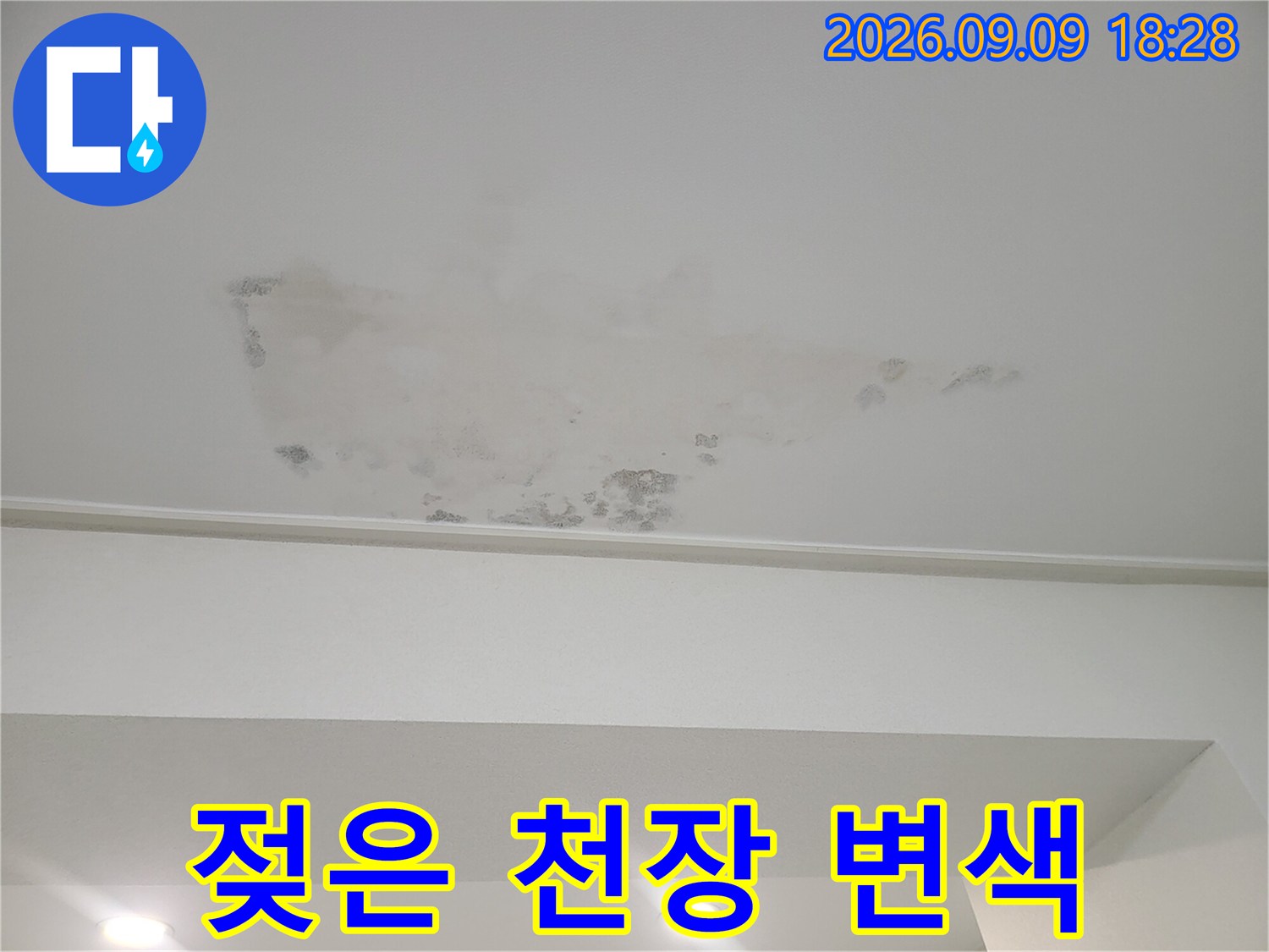 아랫집 작은방 천장에 나타난 누수 물자국과 얼룩 부위