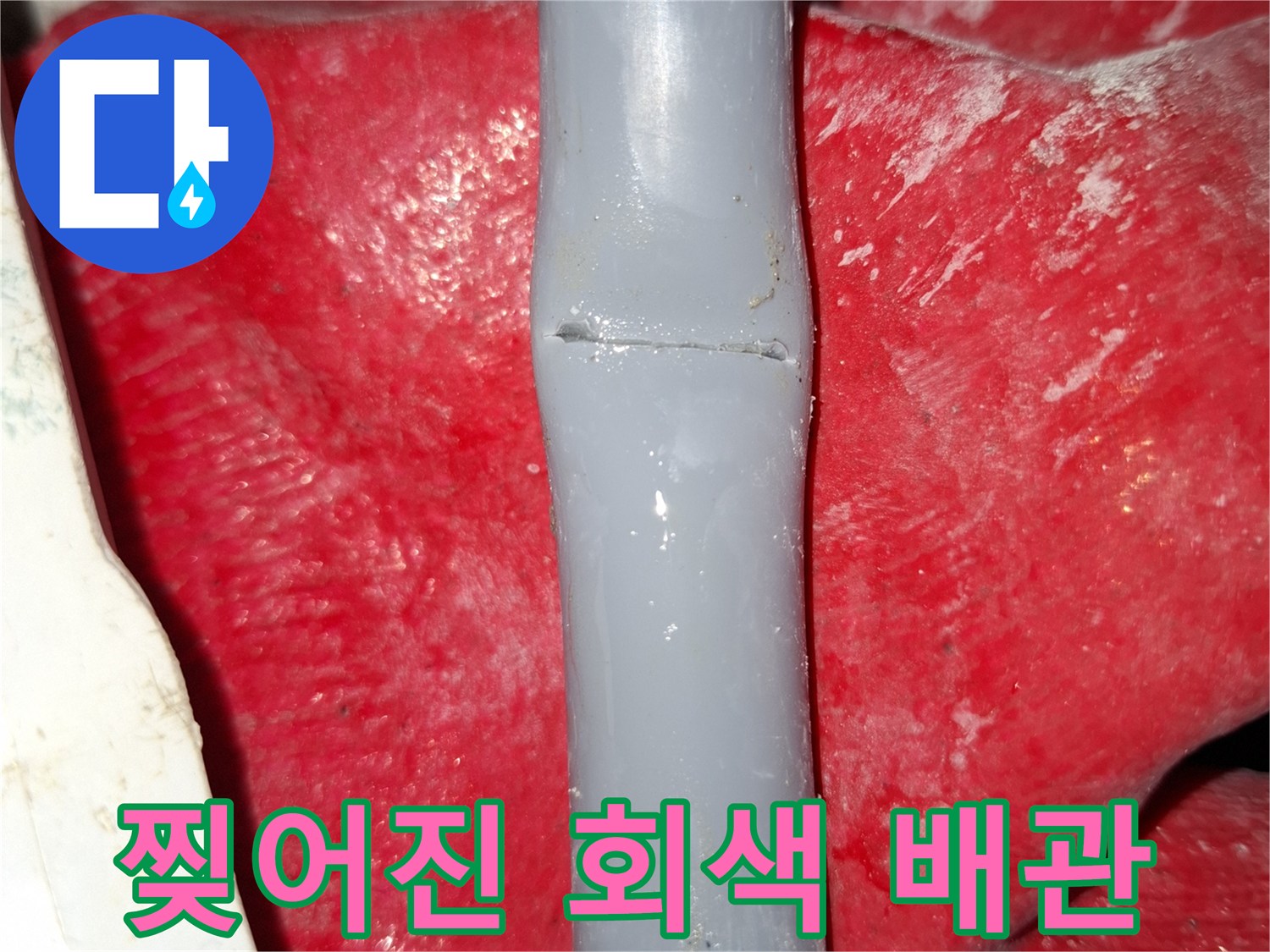손상된 회색 배층의 파열 부위 근접 사진