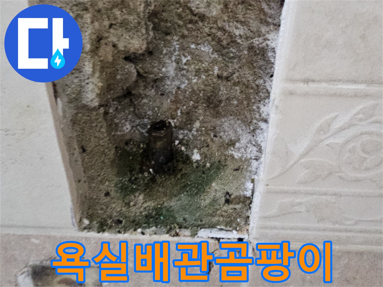 양주시 장흥면-부식된 수도 배관과 젖어있는 벽면 내부