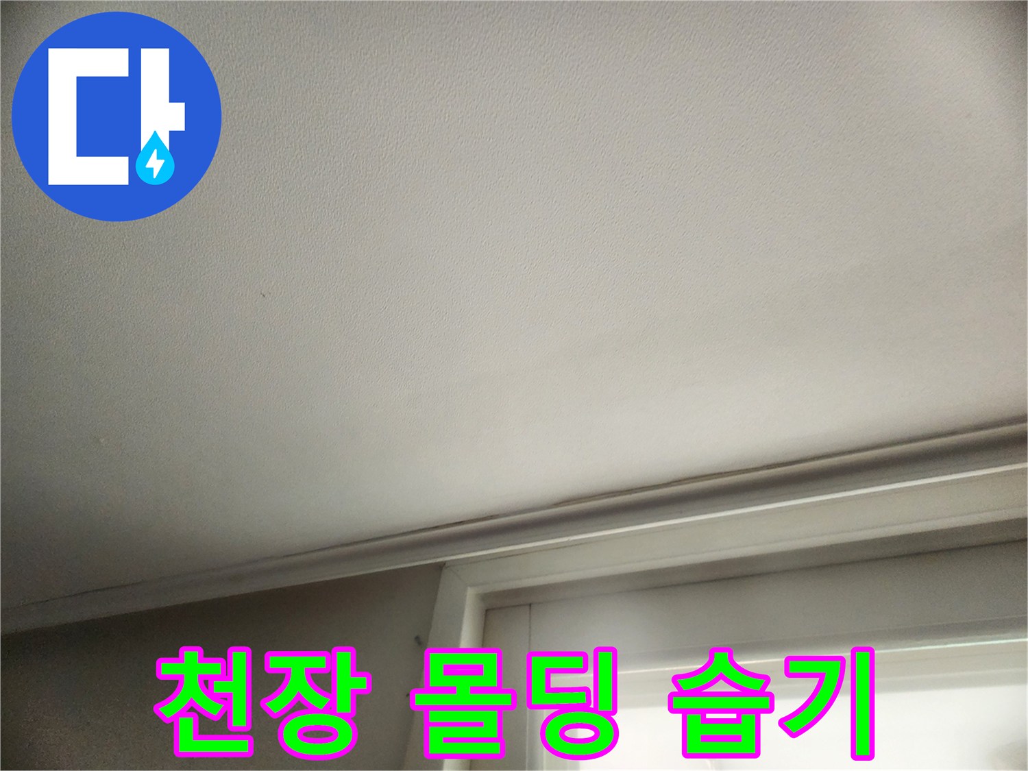 물기를-머금은-천장-몰딩-경계선