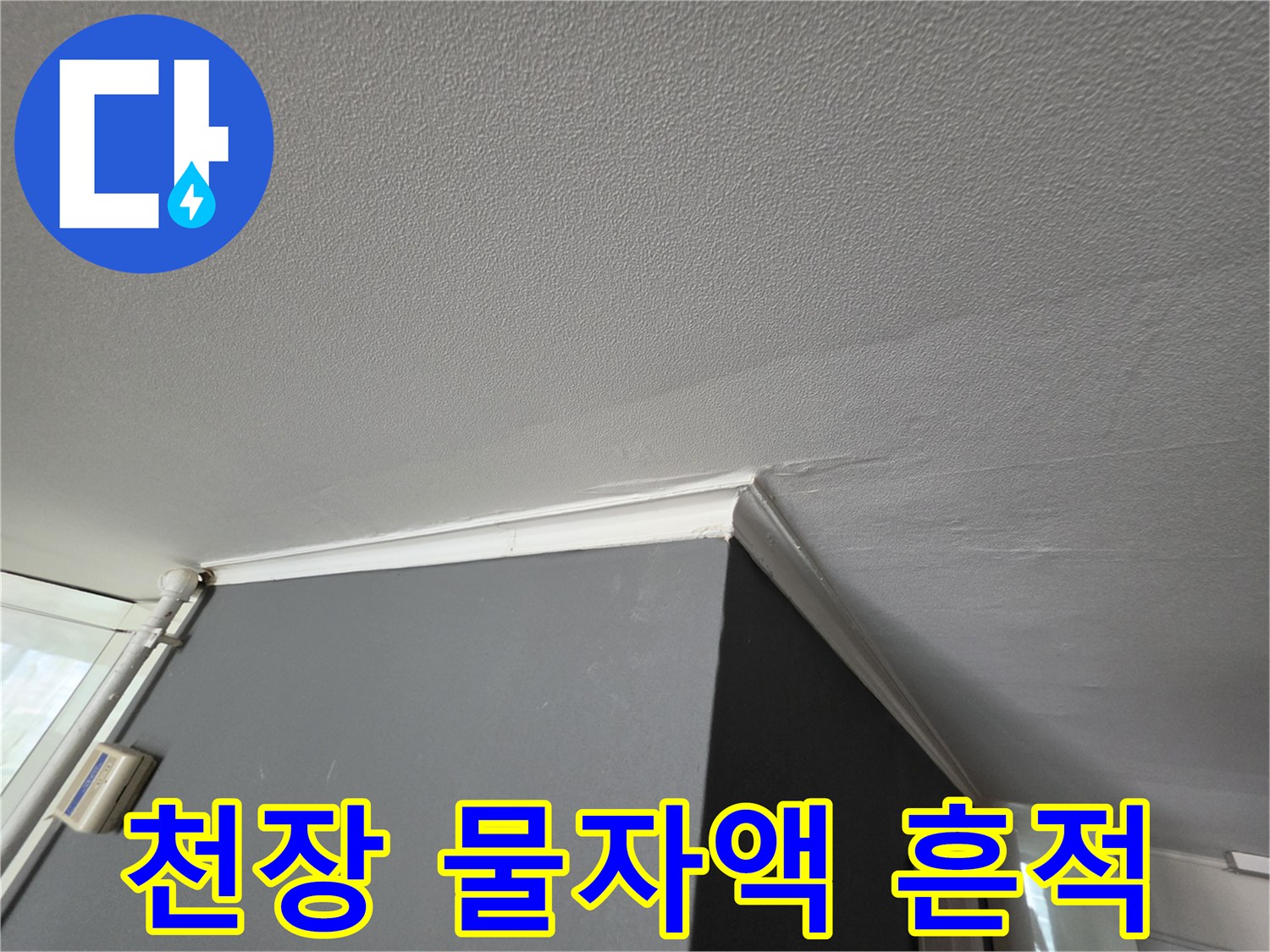 성동구 아파트 천장과 벽면의 습기 젖음 현상