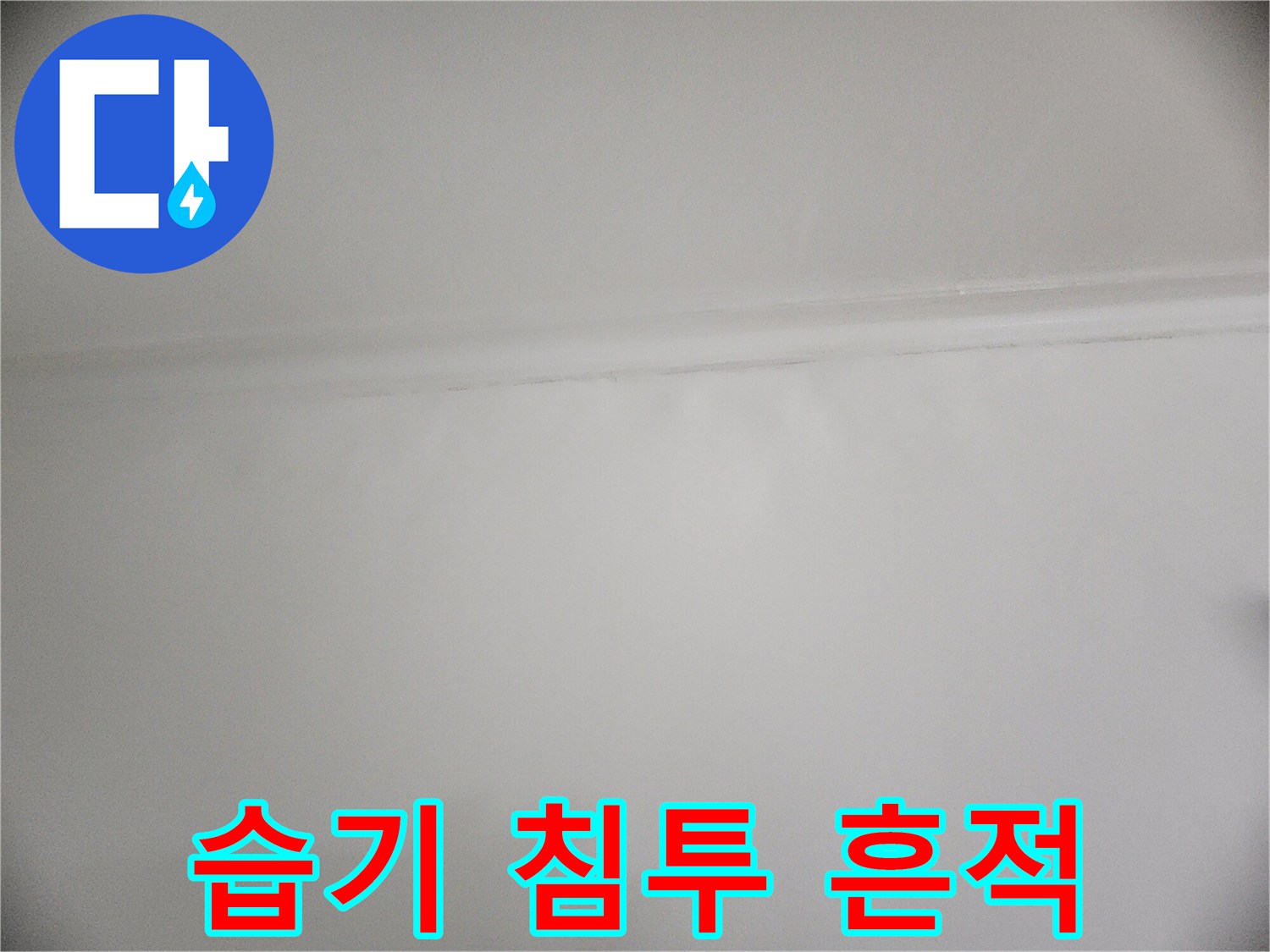천장 경계 부근의 습기 침투 이미지 - 현장 조사