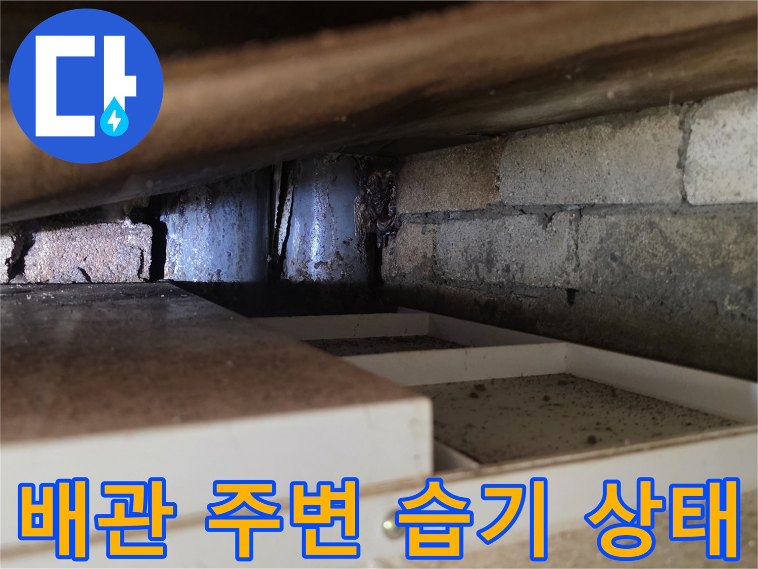 천장 내부 배관과 벽돌 사이의 습한 환경