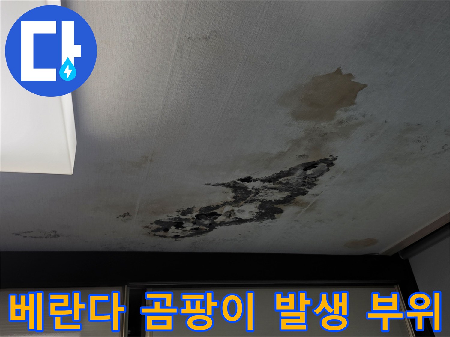 누수 피해 현장-천장 마감재에 나타난 심한 얼룩과 곰팡이 흔적