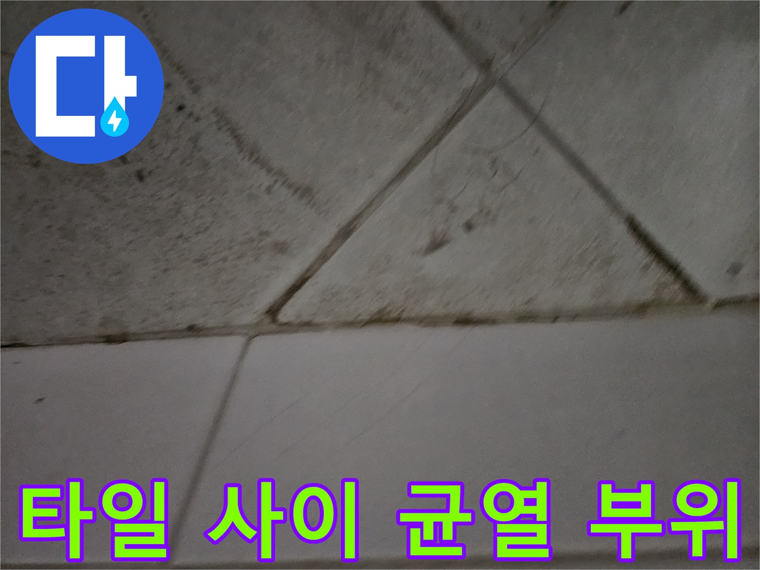 노후된 타일 줄눈의 틈새와 오염된 상태 기록